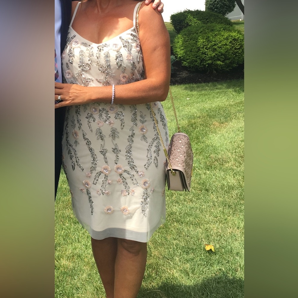 Adrianna Papell Embellished Blush Dress with Floral Sequenced Accents